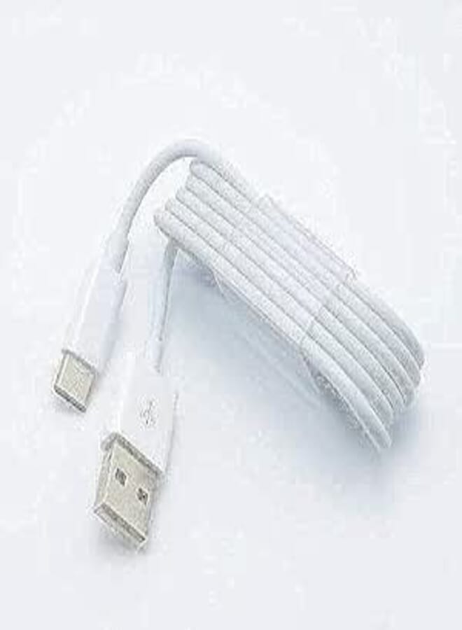 Type C Charging Cable (1m)